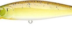 Lucky Craft Pointer 100SP 4 Inch Suspending Jerkbait - Clearance Baits