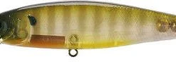 Lucky Craft Pointer 100SP 4 Inch Suspending Jerkbait - Clearance Baits