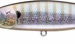 Lucky Craft Pointer 100DD 4 Inch Deep Diving Suspending Jerkbait - Clearance