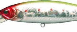 Lucky Craft Pointer 100DD 4 Inch Deep Diving Suspending Jerkbait - Clearance