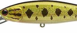 Lucky Craft Pointer 100DD 4 Inch Deep Diving Suspending Jerkbait - Clearance