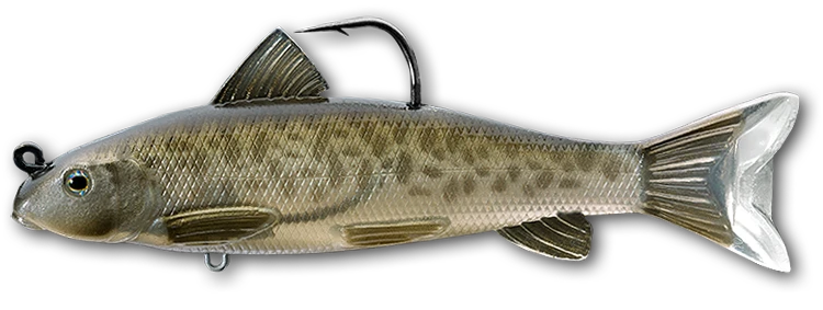 LIVETARGET Sucker Soft Body Swimbait