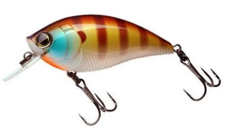 Yo-Zuri 3DB Square-Lip 2 3/4 Inch Shallow Diving Square Bill Crankbait