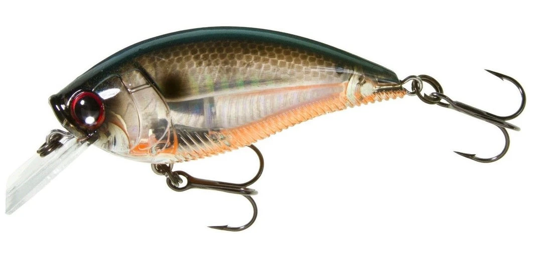 Yo-Zuri 3DB Square-Lip 2 3/4 Inch Shallow Diving Square Bill Crankbait