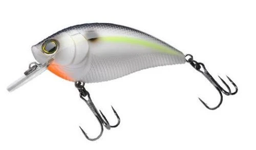 Yo-Zuri 3DB Square-Lip 2 3/4 Inch Shallow Diving Square Bill Crankbait