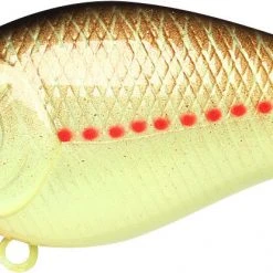 Lucky Craft LC 1.5 Shallow Squarebill Crankbait
