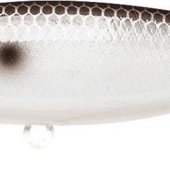 Lucky Craft Pointer 78 Suspending Shallow Jerkbait