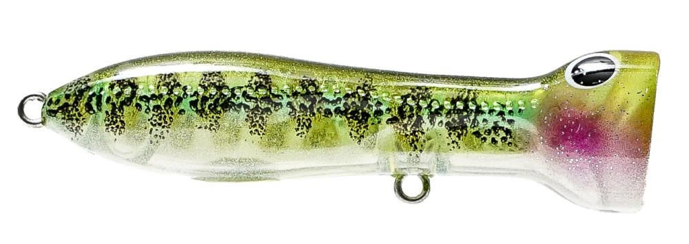Nomad Design Chug Norris Freshwater/Inshore Popper