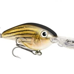 Strike King Pro Model Series 8XD Crankbaits
