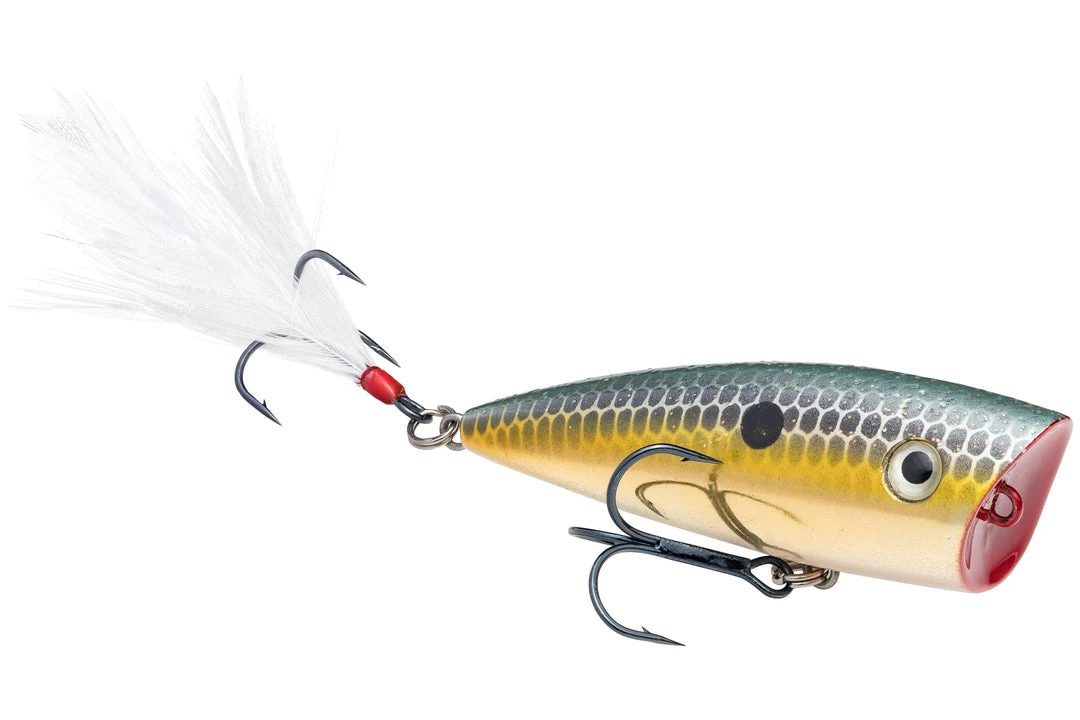 Strike King KVD Splash Jr. Topwater Popper