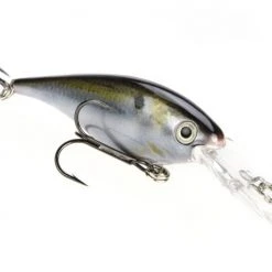 Strike King Pro Model Lucky Shad 3 Inch Crankbait