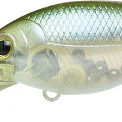 Lucky Craft Moonsault CB-200 Medium Shallow Diving Crankbait