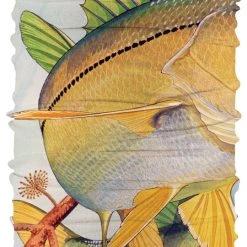 BUFF CoolNet UV+ Buffs Guy Harvey Collection