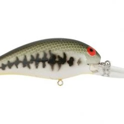 Baits Bomber Model 5A Shallow Medium Diving Crankbait