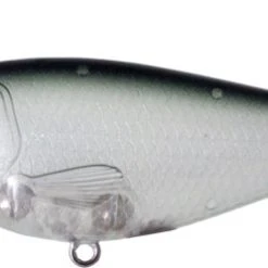 Baits River2Sea Big Mistake 160