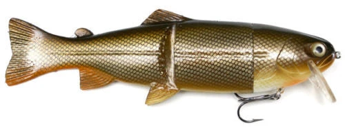 Castaic Hard Head 6 Inch Slow Sinking Soft Body Swimbait