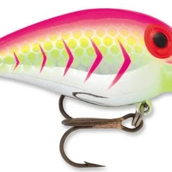 Storm Original Wiggle Wart Crankbaits