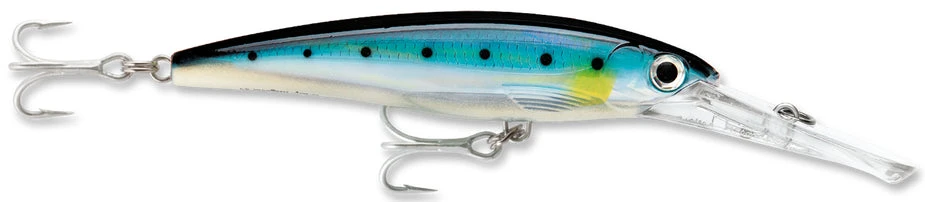 Rapala X-Rap Magnum 15 Big Game Slash Bait