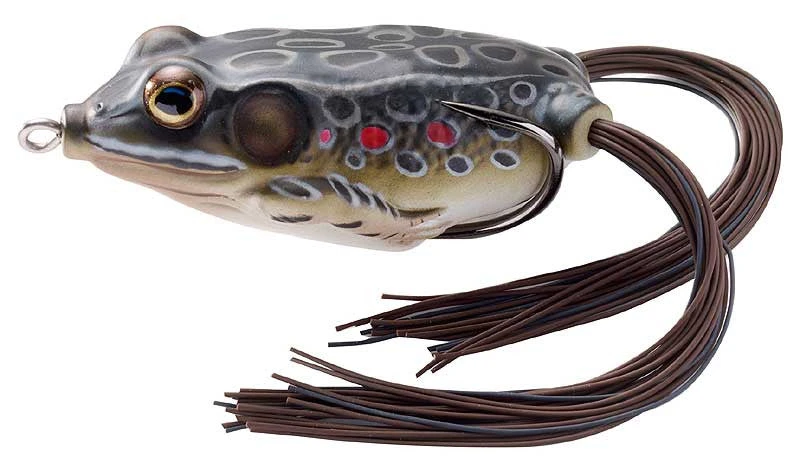 Livetarget Hollow Body Frog 55 2 1/4"