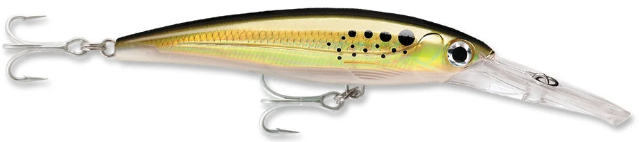 Rapala X-Rap Magnum 15 Big Game Slash Bait