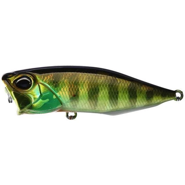 Duo International Duo Realis Topwater Popper 64