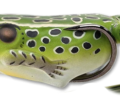 LIVETARGET Popper Frog Hollow Body Topwater Frog