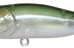 Megabass Pop-X Baits
