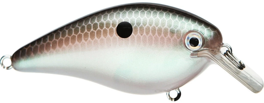 Strike King Kvd Square Bill 1.0 Silent Crankbaits