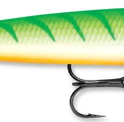 Baits Rapala Husky Jerk 10