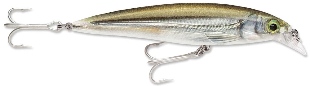 Baits Rapala X-Rap Saltwater Sxr-10 4"