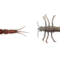Baits Savage Gear 3D Tpe Mayfly Nymph Soft Plastic Creature