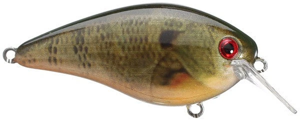 Strike King Kvd Square Bill 1.0 Silent Crankbaits