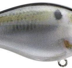 Strike King Kvd Square Bill 1.0 Silent Crankbaits