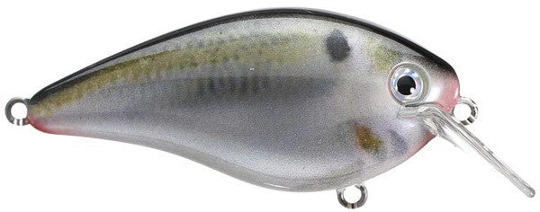 Strike King Kvd Square Bill 1.0 Silent Crankbaits
