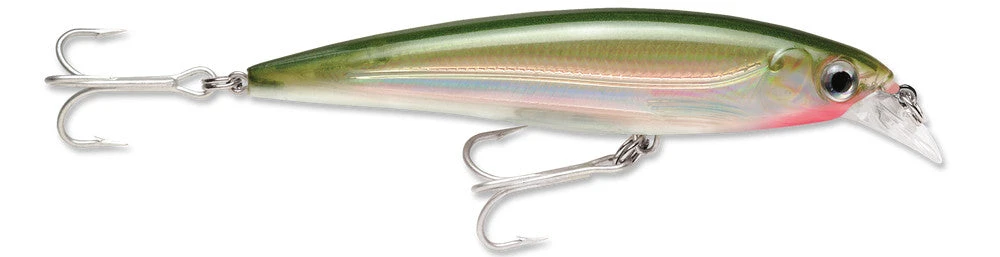 Baits Rapala X-Rap Saltwater Sxr-10 4"