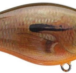 Strike King Kvd Square Bill 1.0 Silent Crankbaits