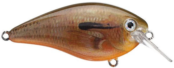 Strike King Kvd Square Bill 1.0 Silent Crankbaits