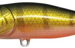Megabass Pop-X Baits