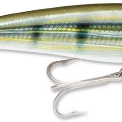 Baits Rapala X-Rap Saltwater Sxr-10 4