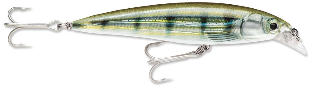 Baits Rapala X-Rap Saltwater Sxr-10 4"