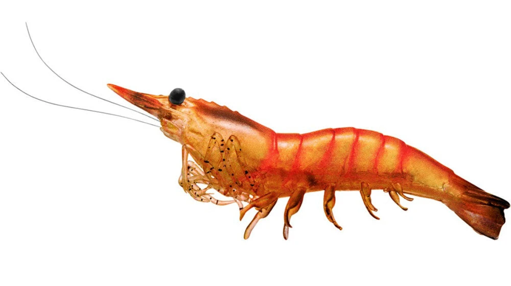 Livetarget Rigged Shrimp 75 1/4 Oz. 4 Pack Baits