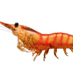 Baits Livetarget Rigged Shrimp 100 1/2 Oz. 4 Pack