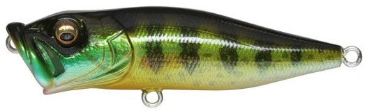 Megabass Pop-X Baits