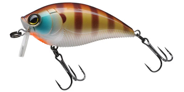 Yo-Zuri 3Db Wake Bait Floating Diver 2 3/4 Inch Shallow Square Bill Crankbait Baits