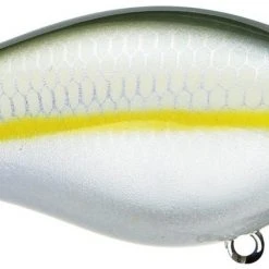 Strike King Kvd Square Bill 1.0 Silent Crankbaits