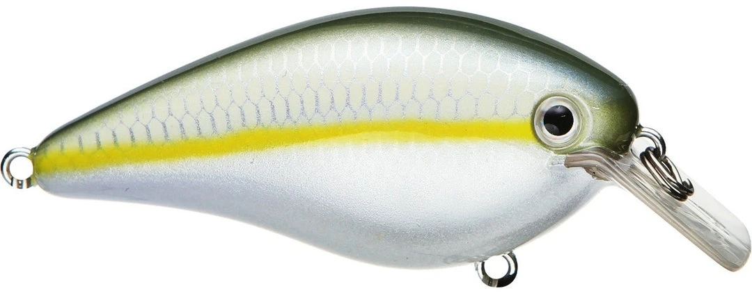 Strike King Kvd Square Bill 1.0 Silent Crankbaits