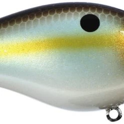 Strike King Kvd Square Bill 1.0 Silent Crankbaits