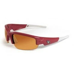 Maxx NFL Dynasty Sunglasses