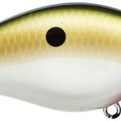 Strike King Kvd Square Bill 1.0 Silent Crankbaits