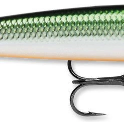 Rapala Husky Jerk 06 Baits